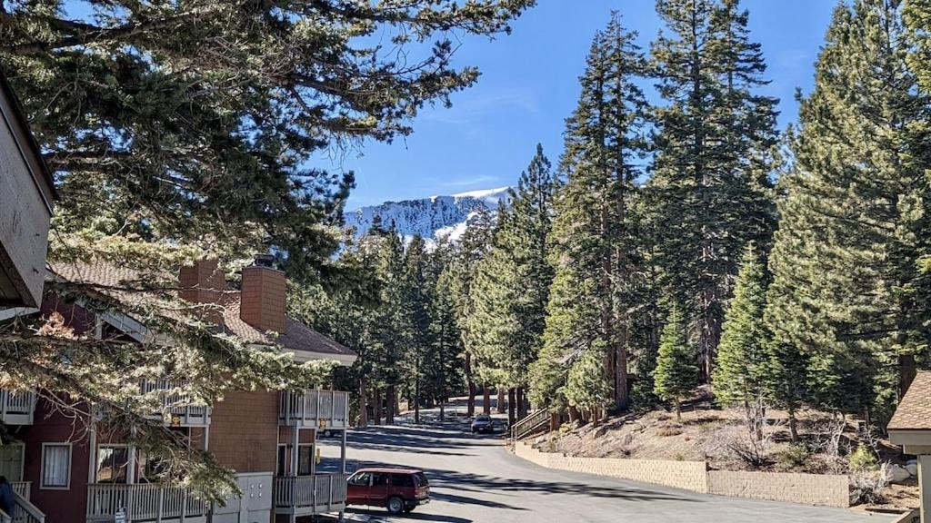 Cozy Condo Walking Distance To Village And Gondola W/ Pool/ Jacuzzi Sleeps 4. Mammoth Lakes Exterior photo